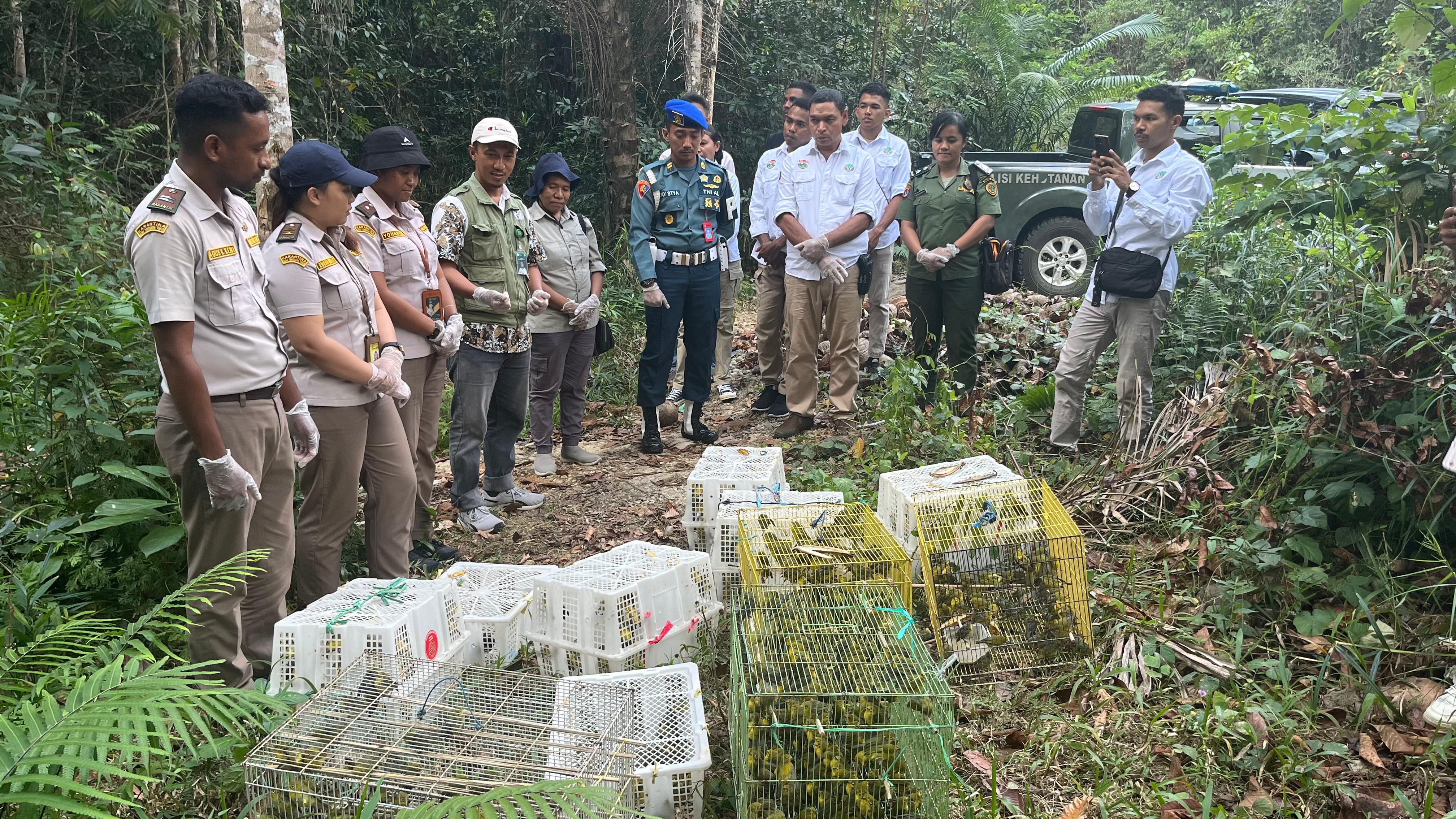 Gagalkan Penyelundupan Tim Gabungan Amankan Satwa Liar Dilindungi di Pelabuhan Wae Kelambu