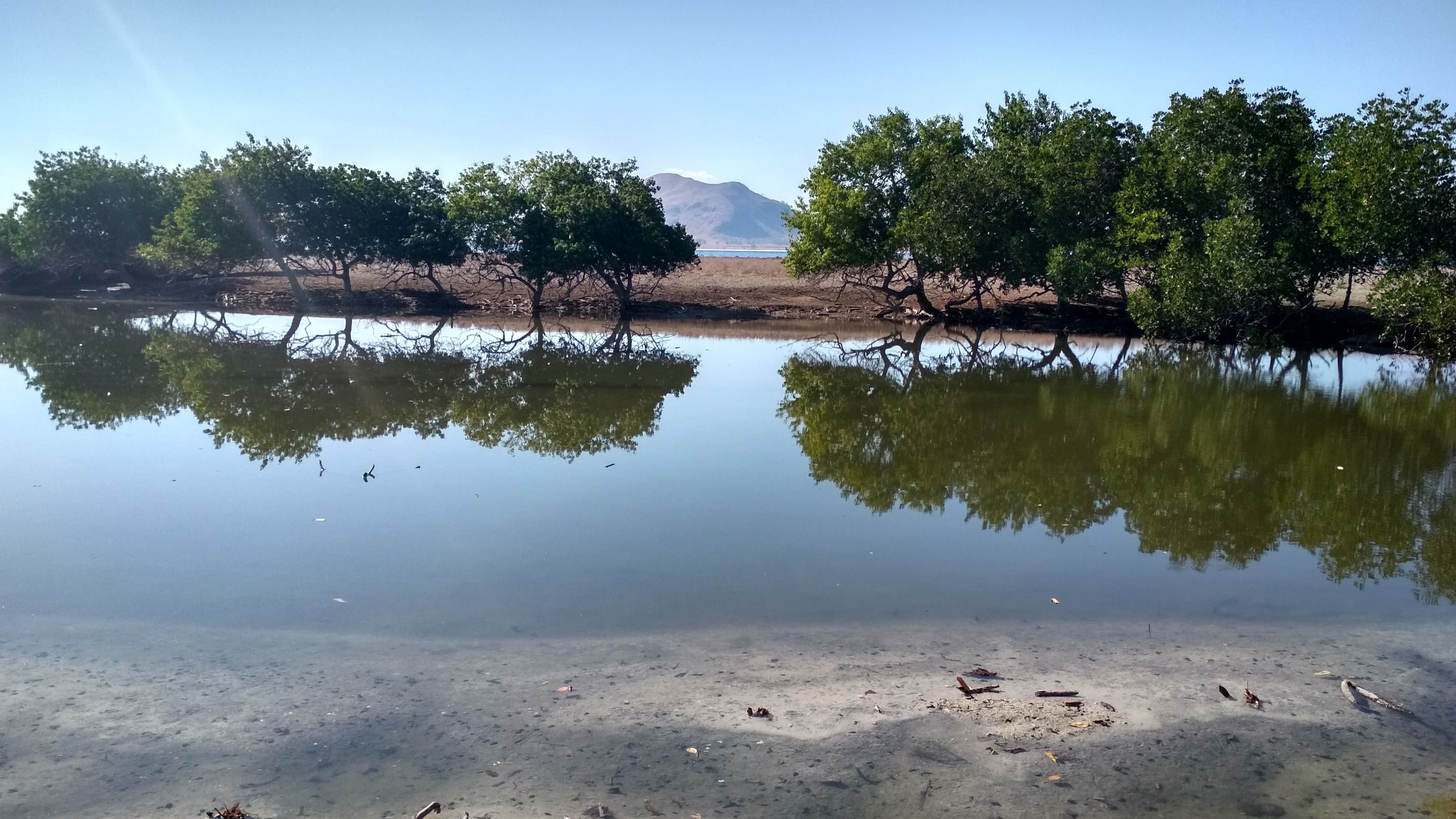 Taman Wisata Alam Pulau Lapang