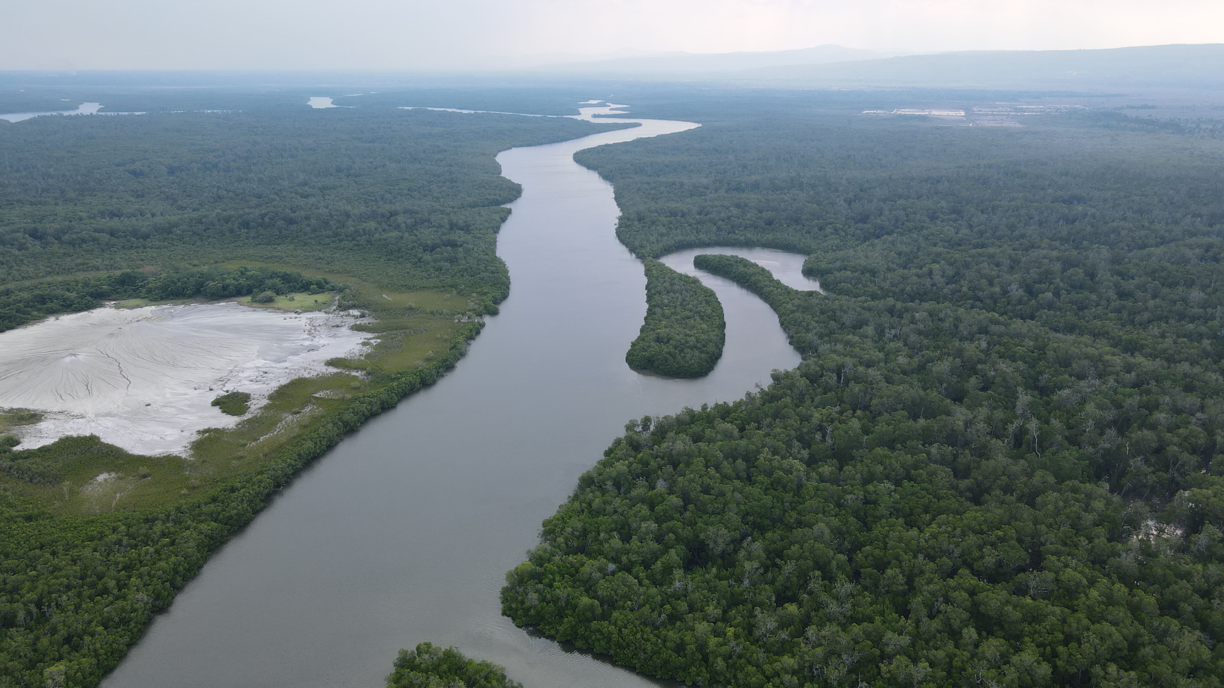 Hutan Bakau Maubesi