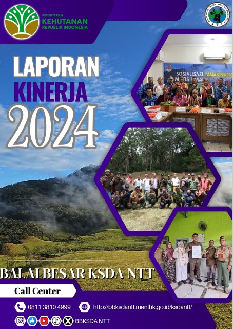 Laporan Kinerja 2024