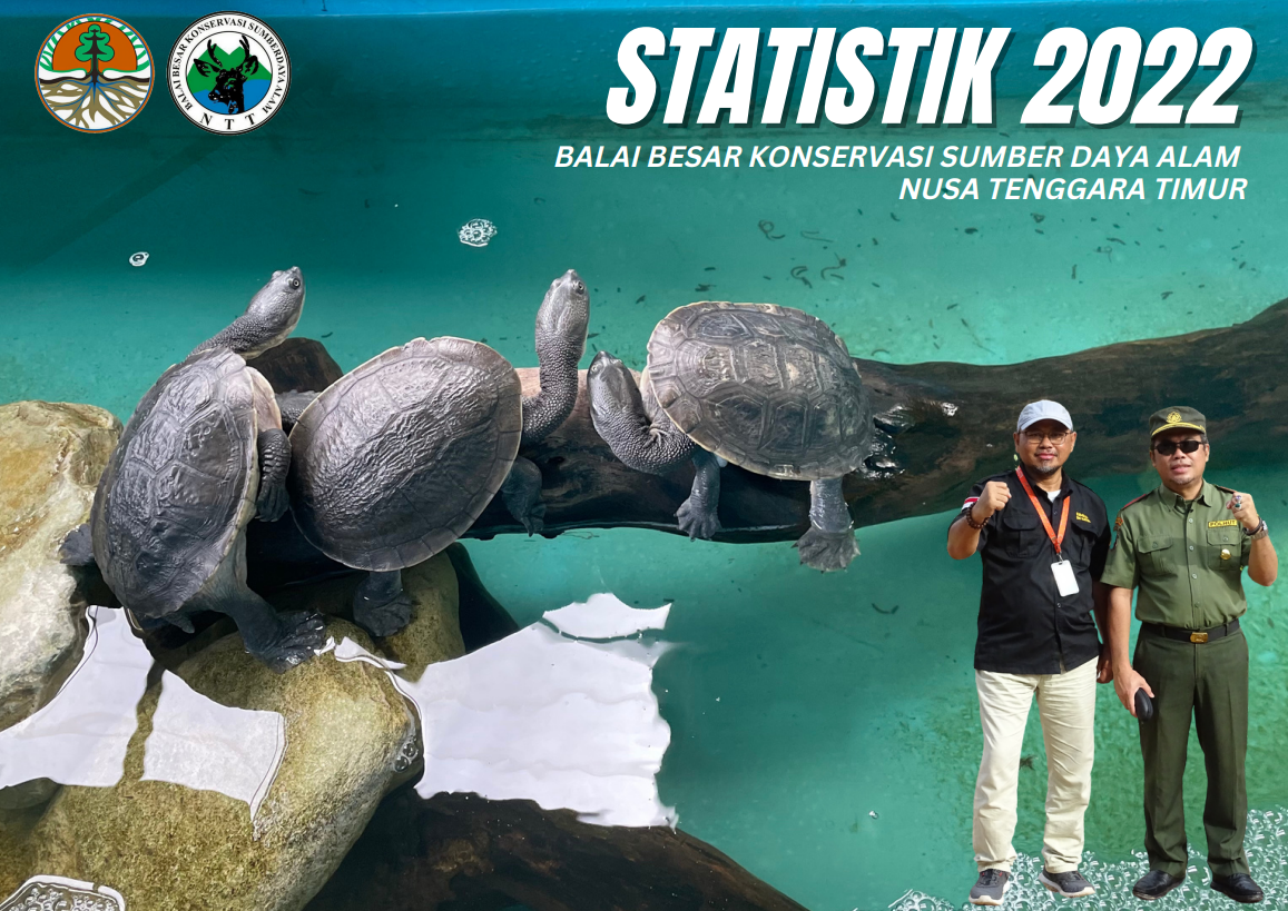 Renstat